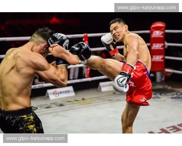 绝地反击还是王者加冕？徐吉福vs哈亚：搏击史上的“冰与火之歌”