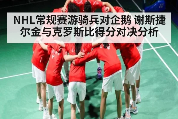 NHL常规赛游骑兵对企鹅 谢斯捷尔金与克罗斯比得分对决分析